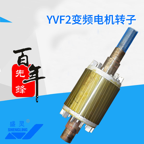 YVF2變頻電機(jī)轉(zhuǎn)子_YVF2變頻電機(jī)轉(zhuǎn)子生產(chǎn)廠家_YVF2變頻電機(jī)轉(zhuǎn)子直銷_維修-先鋒電機(jī)