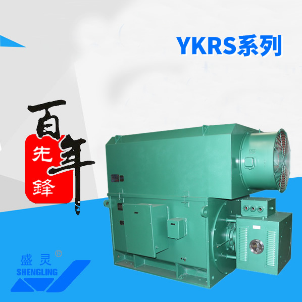 YKRS系列_YKRS系列生產(chǎn)廠家_YKRS系列直銷_維修-先鋒電機