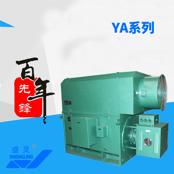 YA系列_YA系列生產(chǎn)廠家_YA系列直銷_維修-先鋒電機